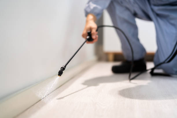 Licensed Rodent Control service in Zephyrhills South, FL - Nex Pest Control