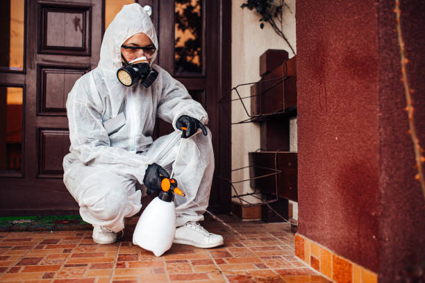 Reliable Rodent Control contractor in Zephyrhills South, FL by Nex Pest Control