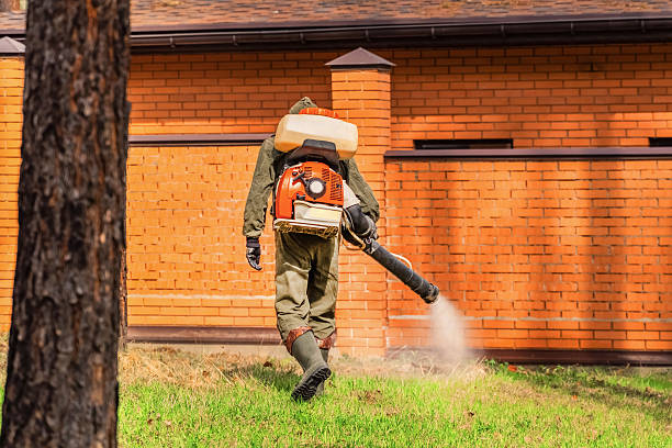 Trusted Mosquito Control service in Zephyrhills South, FL - Nex Pest Control